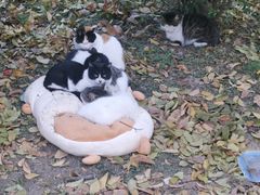 -长安大学(北校区)