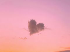 -金刚山烧烤(红旗大街店)