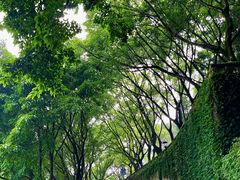 -重庆平顶山公园