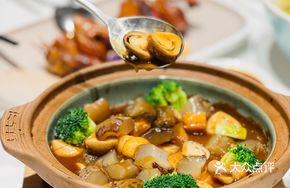 Abalone Sauce Stir-fried Sea Cucumber with Fresh Mushrooms