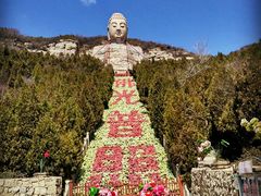 -蒙山大佛景区