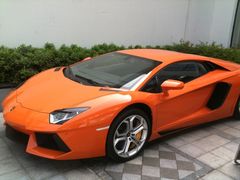 门口看到的大黄牛-苏州香山国际大酒店