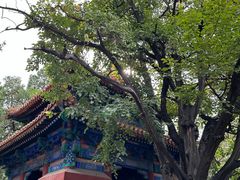 -北京国子监胡同