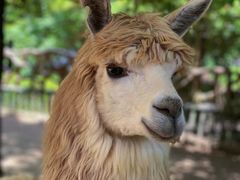 -杭州野生动物世界