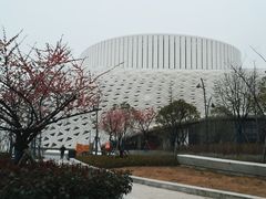 -金沙湖公园