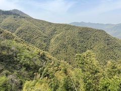 -莫干山风景区