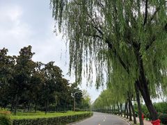 -洨河生态公园
