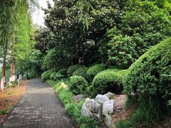-金鸡湖桃花岛