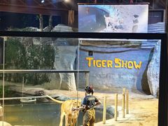 -清迈夜间动物园