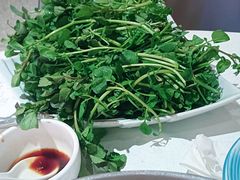 -清心鸡沙田乳鸽店·非遗传承(石溪店)