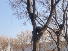 -兴芮温泉度假区