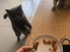 -平行世界·猫咖(首经贸店)
