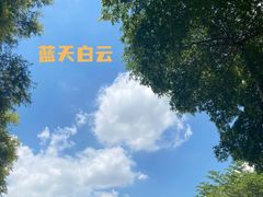 -松山湖梦幻百花洲