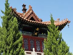 -大槐树寻根祭祖园