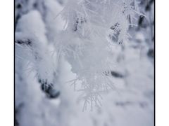 -九峰山