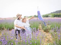 -大塘金香草谷