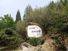 -白水寺森林公园