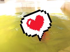 -南宫温泉水世界