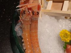 -極上萬膳·日料放题(海岸城店)