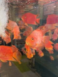 -杭州贝瑞斯美华妇儿医院·早孕·产检·儿科