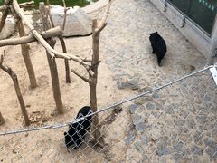 -石家庄市动物园