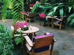 -Fern Forest Cafe