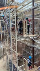 -PIPIKINGDOM皮皮王国欢乐号(欢乐海岸购物中心店)