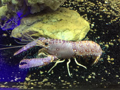 -大连圣亚海洋世界