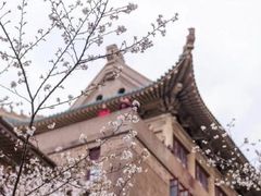 -武汉大学-樱园