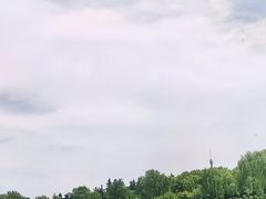 -洨河生态公园