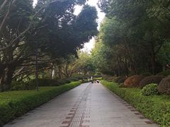 -东湖公园游乐场
