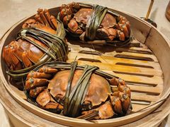-杨氏青龙虾·羊蝎子(珠江路店)