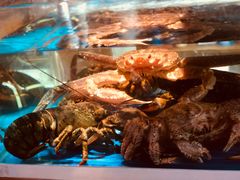 -樱の花亭日本料理店