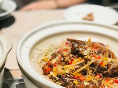 -滋粥楼·顺德菜(番禺广场总店)