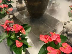 -梅花香里大酒店(郁金香路店)