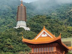 -深圳仙湖植物园