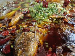 -邮亭陈鲫鱼·重庆老字号(大足直营店)