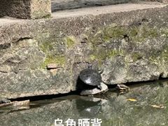 -西园戒幢律寺