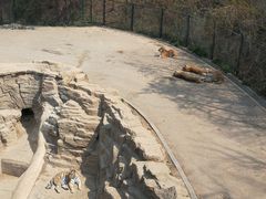 -大连森林动物园