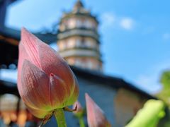 -南华寺素食馆(南华禅寺店)