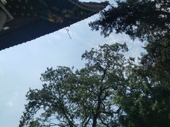 -南岳大庙