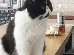 -平行世界·猫咖(首经贸店)