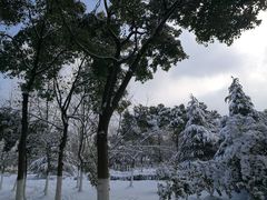 -江南大学(蠡湖校区)