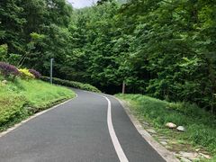 -都江堰中华大熊猫苑
