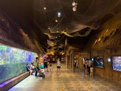 -华夏文旅海洋公园