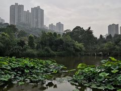 -龙头寺公园