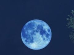 -大雁塔北广场音乐喷泉