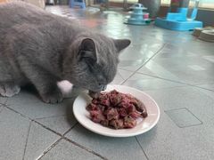 -小火花·干式熟成牛排馆Spark SteakHouse(剑桥郡店)