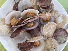 -沿海渔家院海鲜烧烤·东北菜(东戴河店)