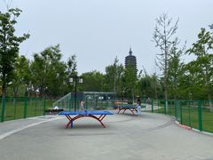 -西海子公园